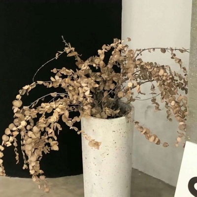 Furry插画色彩解析FurryQQ群